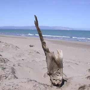 https://casa-delta-del-ebro-deltebre.catalonia-hotels.com
